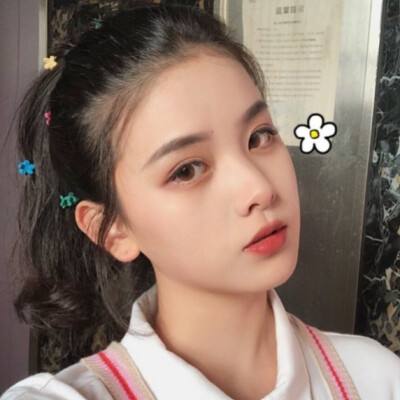 养只二哈不容易游戏下载
